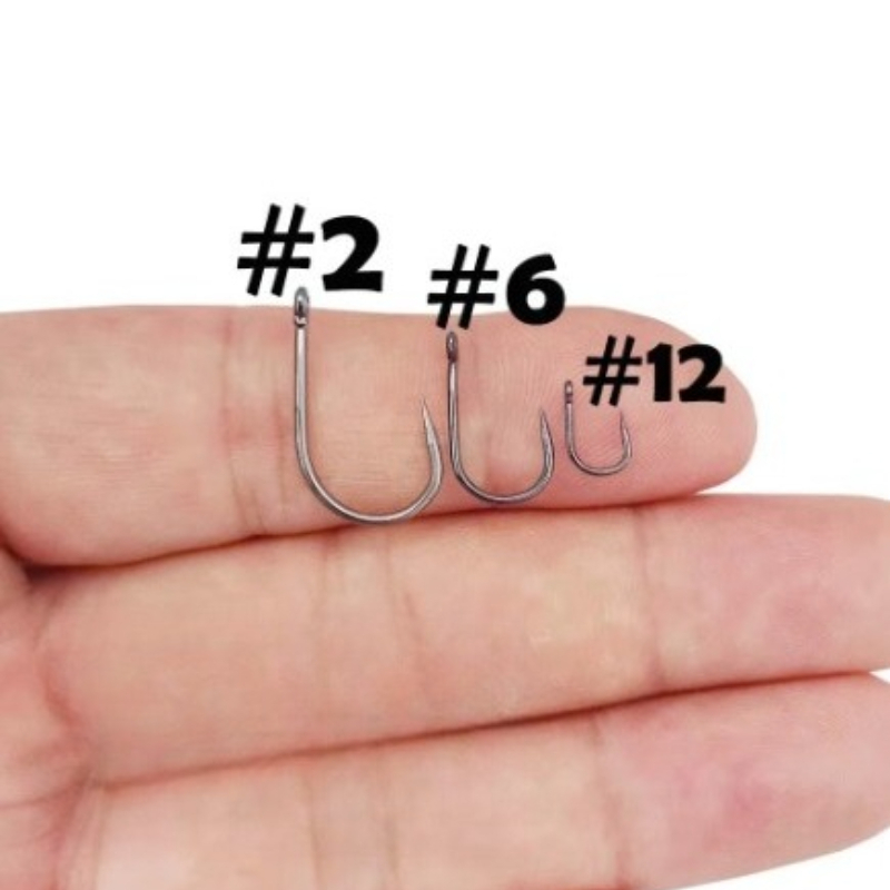 鯉釣り用釣り針、ピンなしサークル型、穴付き、サイズ2 4 6 - Fishing Hook Assortment のレビューと価格